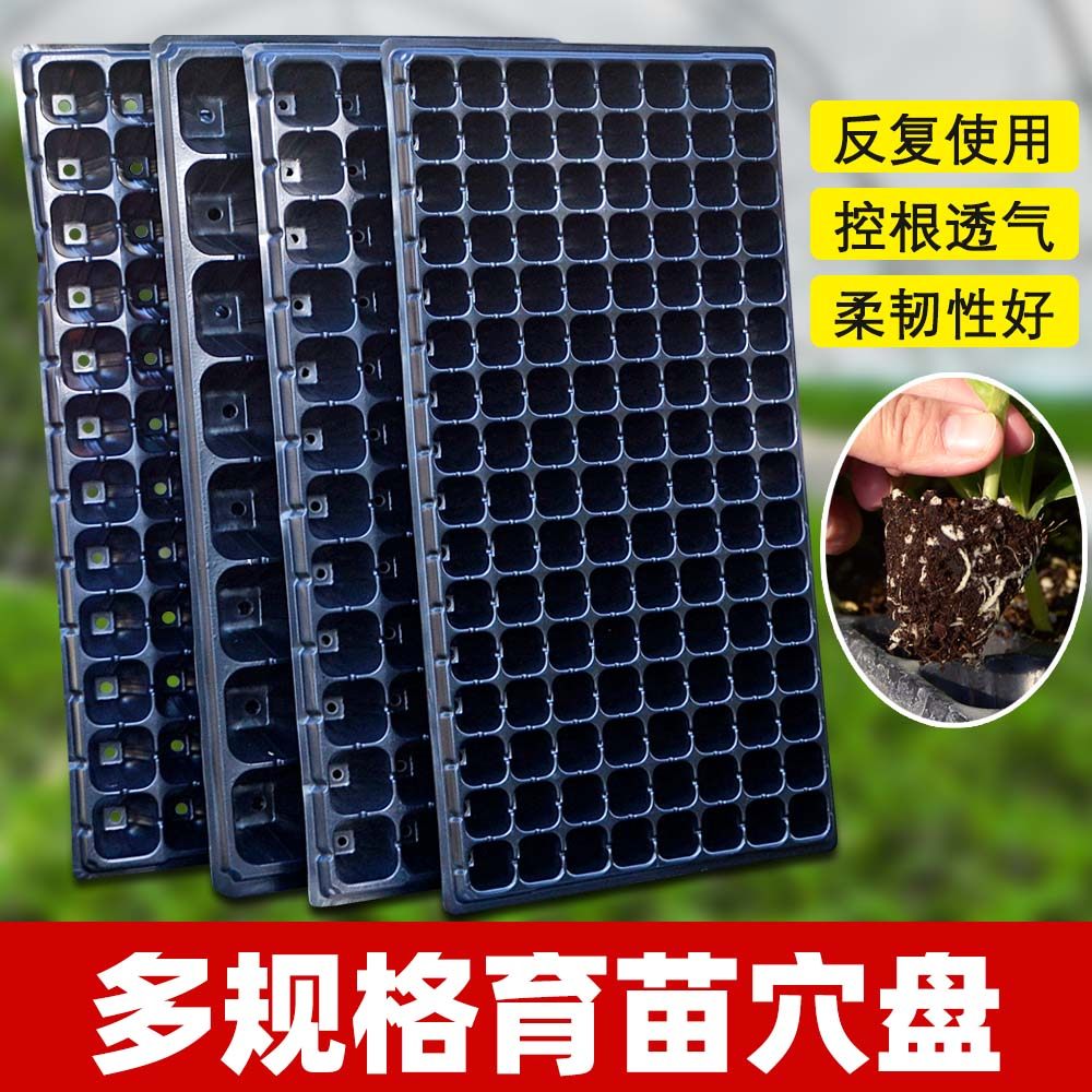 优质加厚穴盘多肉芽苗菜培育箱多肉种植育苗盒育苗盘塑料营养钵盆