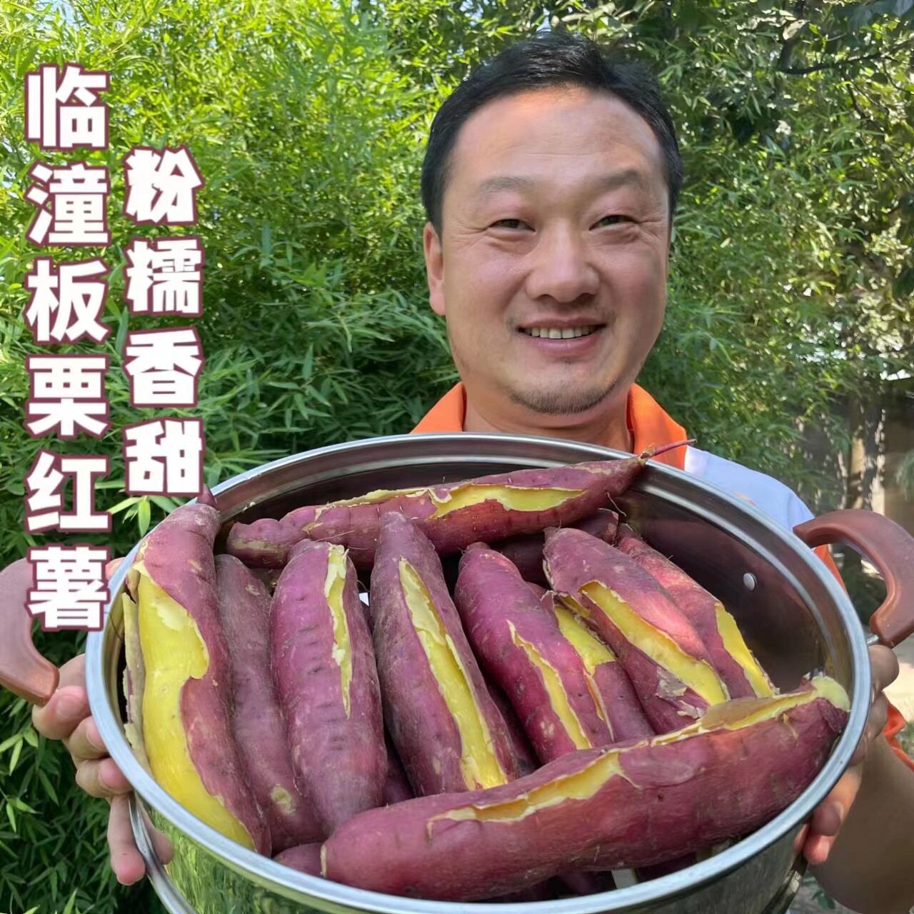 陕西正宗板栗红薯现挖农家自种沙地新鲜小香薯粉糯香甜番薯地瓜