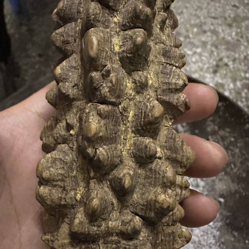 野生干花椒木老花椒木枝树雕刻专用宝宝婴儿磨牙棒玩具原木手工加