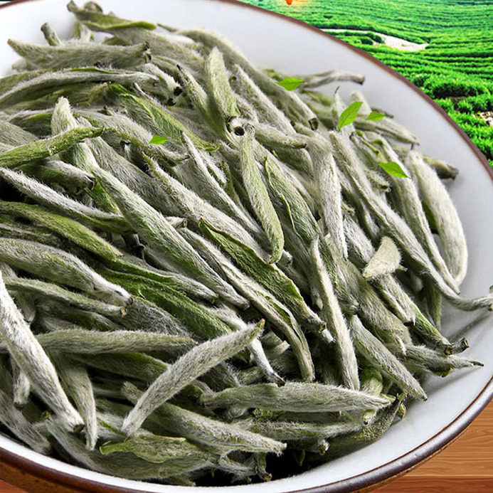 白毫银针2026新茶明前头采嫩芽正宗高山花香非福鼎大白茶小包盒装