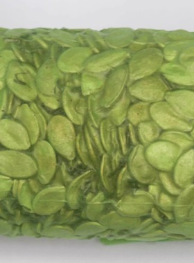 茶葉瓜子 台灣高山茶現炒南瓜子 小包裝250g，台灣直送2包包郵