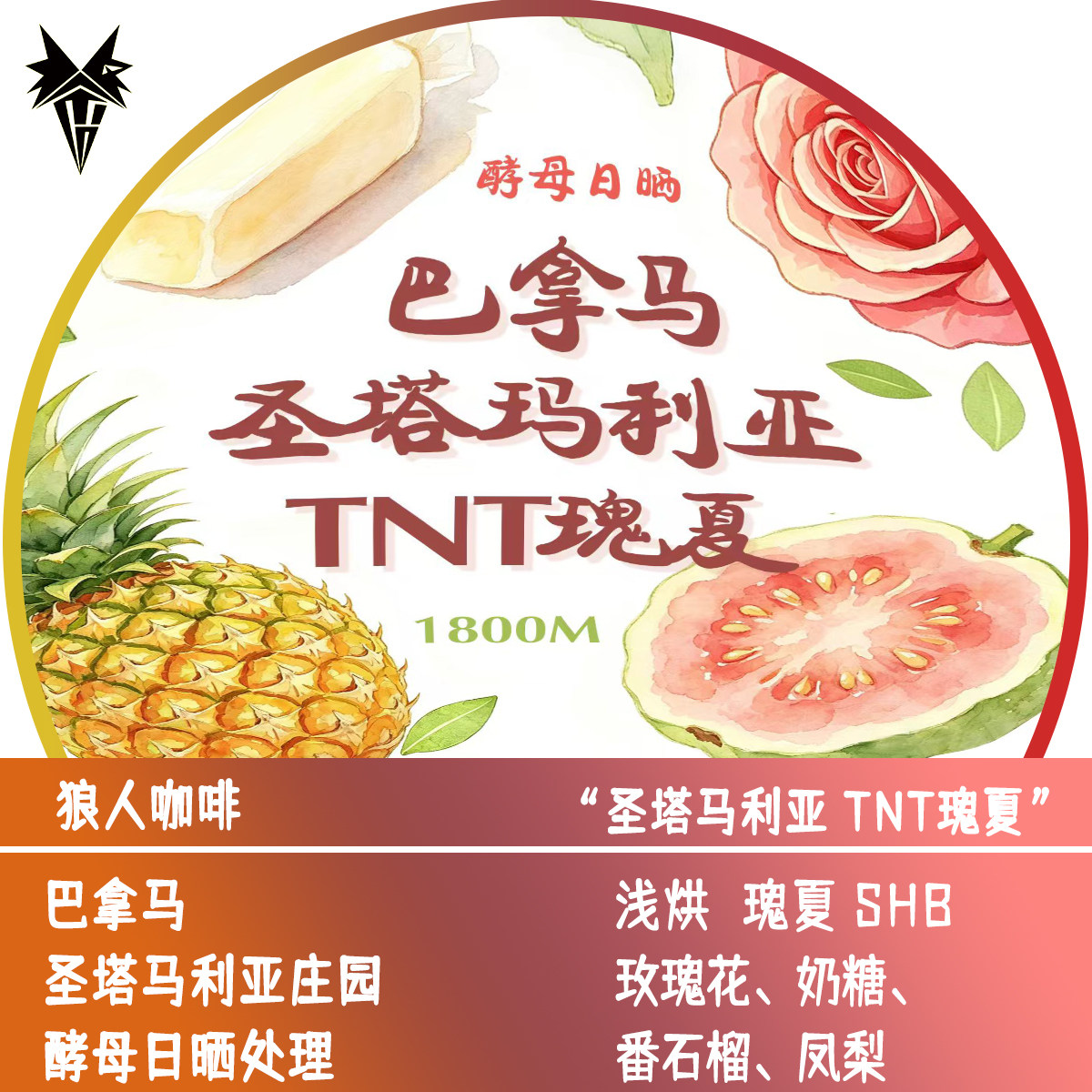 狼人咖啡 巴拿马 圣塔马利亚 酵母日晒 处理 TNT瑰夏
