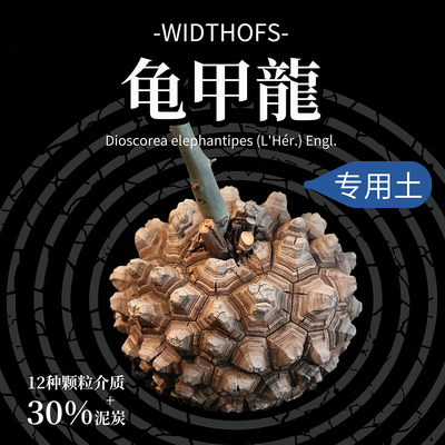 龟甲龙专用土！WOS块根潮流植物美学进口泥炭透气70%颗粒土