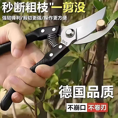 剪刀果树剪刀修枝剪花剪树枝果树园艺专用花卉剪省力剪子园林剪刀