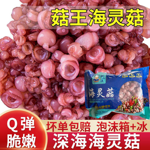 海灵菇火锅食材400g延边啤酒菜