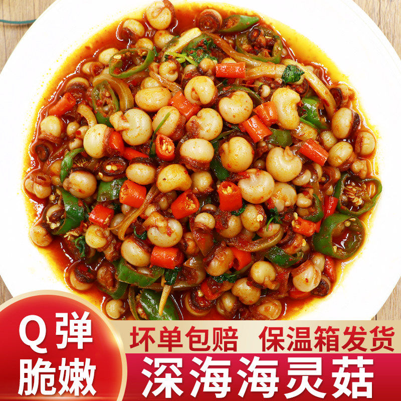 延边海灵姑辣炒海灵菇啤酒特大大号章鱼海鲜新鲜冷冻鱿鱼吸盘