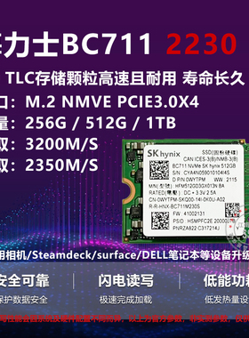 海力士BC711 512G 1T 2T M.2 2230 SN530固态硬盘Steamdeck PRO8
