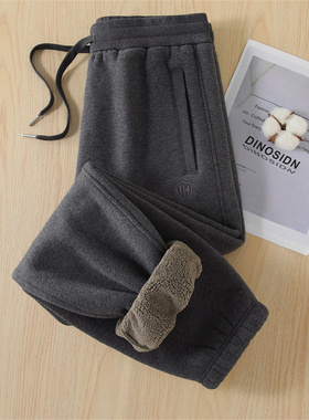2025新款秋冬季加厚羊羔绒高端简约灰色加绒加厚束口裤宽松休闲裤