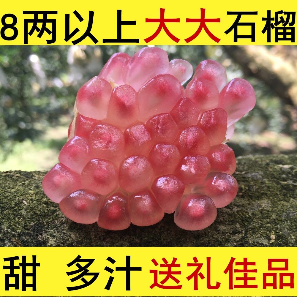 石榴送礼佳品单个8两以上薄皮