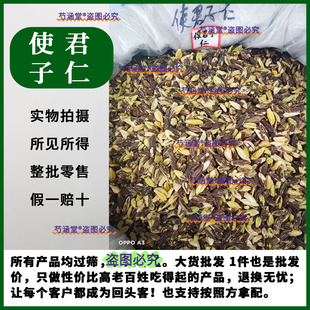 使君子中药材使君子种子使君子仁史君子病柑子五棱子君子仁可打粉