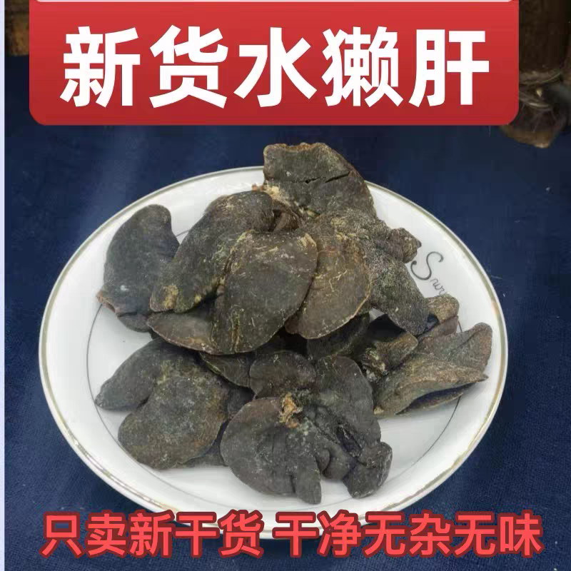 水獭肝高品质中药材水獭肝可磨正品水獭肝粉养殖货可打粉水癞肝