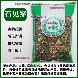 石见穿中药材500g石打穿月下红石见川石大川紫参新鲜晒干正品新货
