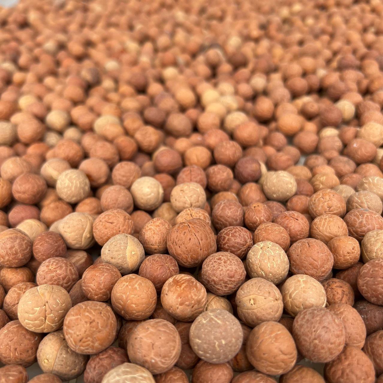天然菩提凤眼菩提108颗凤眼菩提原籽散珠实心籽佛珠手串
