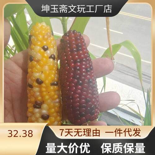 天然文玩玉米手把件带托盘完花扣红色小玉米盘玩手捻自产自销迷你