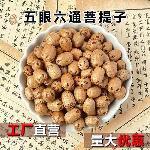 五眼六通天然菩提子原籽散珠打孔DIY 手串饰品家居挂件吊坠佛珠