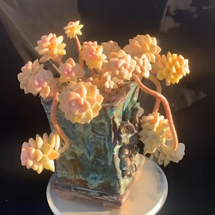 高桩飘枝美杏锦多肉植物盆栽带盆室内桌面创意家居装饰粉色系萌肉