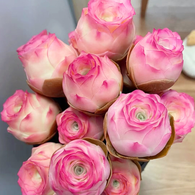 包邮进口爆款山地玫瑰粉耶罗老桩多肉植物室内花卉盆栽阳台防辐射