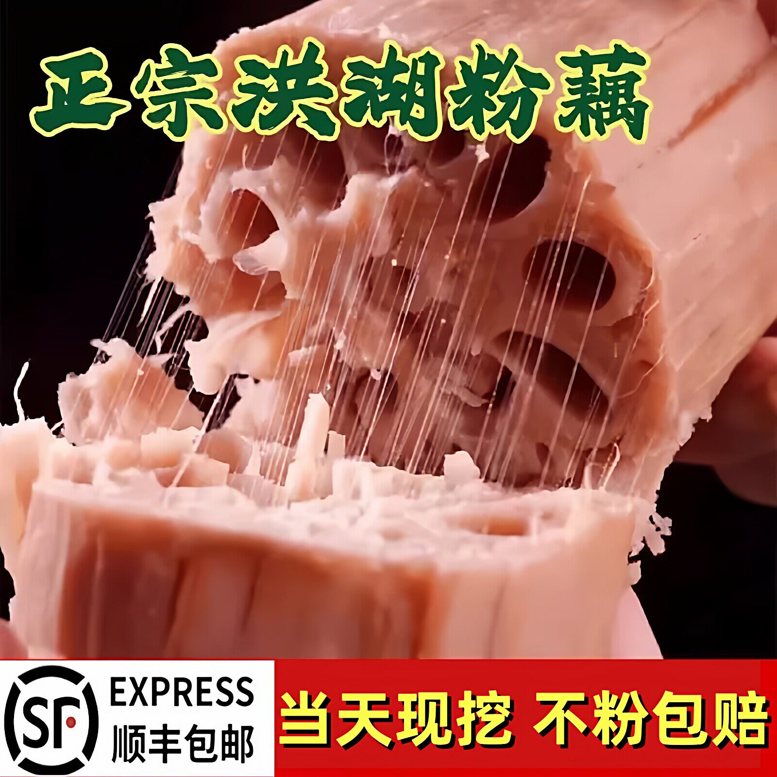 【顺丰快递】湖北洪湖特级煲汤粉九孔藕粉糯新鲜当天现挖现发莲藕