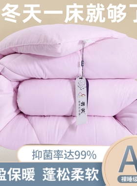 10斤冬天羽丝棉被大豆纤维被子冬被加厚保暖丝绵太空棉被芯单双人