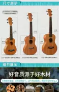 Chơi nhạc cụ Ukulele Người mới bắt đầu Ukulele Trẻ em Người mới bắt đầu Trẻ em 23 inch Novice dành cho người lớn - Nhạc cụ phương Tây