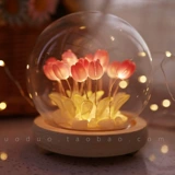 День учителя Лунный ночной фонарь