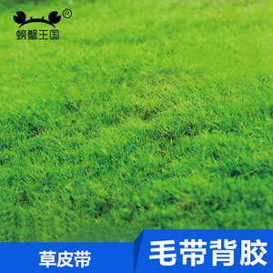 螃蟹王国沙盘建筑模型制作 草皮带毛带背胶 20*25cm 一个装