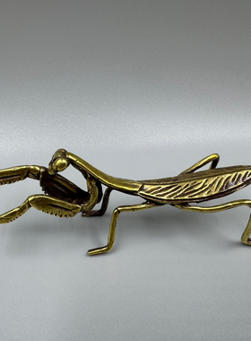 古玩铜器收藏仿古纯铜黄铜螳螂小摆件昆虫动物桌面迷你铜件