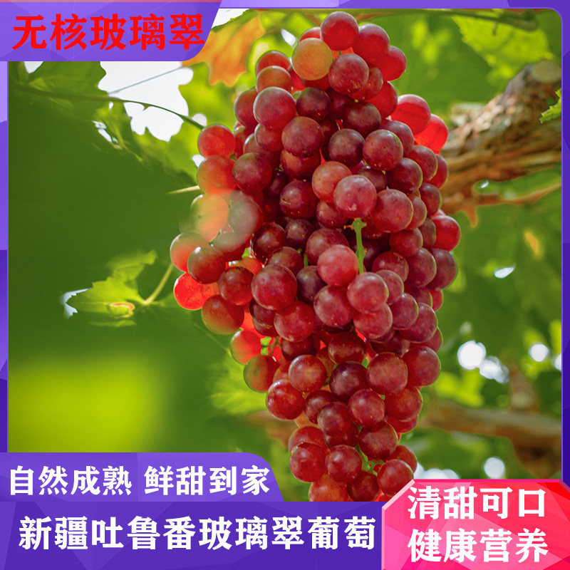 新疆葡萄吐鲁番火焰无核玻璃葡萄
