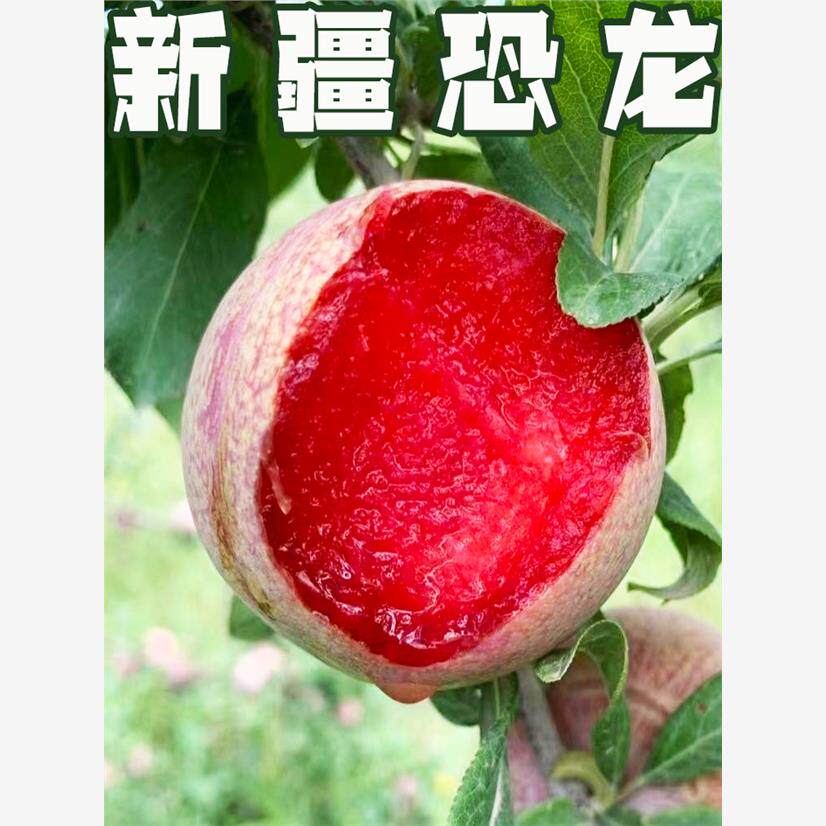 新疆恐龙蛋味帝酸甜爽口送礼佳品