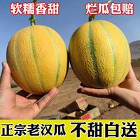 新疆老漢瓜產(chǎn)地直發(fā)軟糯甜瓜蜜瓜