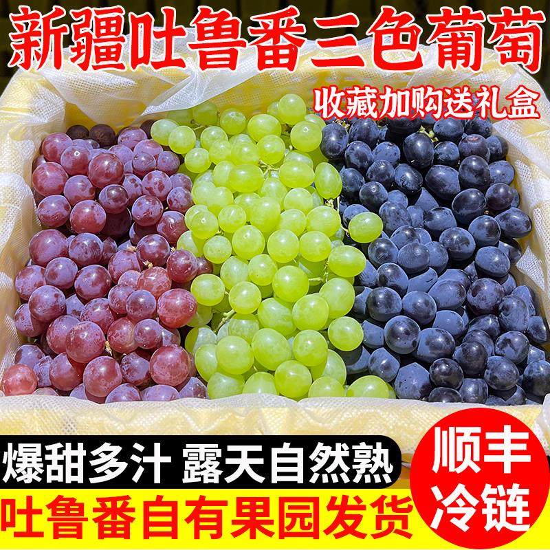新疆吐鲁番新鲜三拼无籽葡萄当季