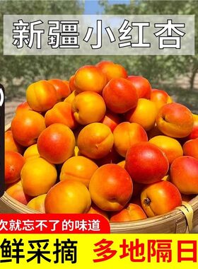 新疆自然熟小红杏新鲜杏子杏干应季水果当季胜小白杏现摘现发顺丰