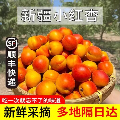 新疆自然熟小红杏新鲜杏子杏干应季水果当季胜小白杏现摘现发顺丰