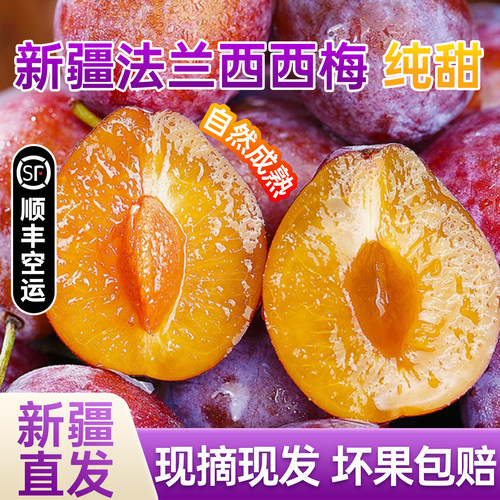新疆法兰西西梅喀什纯甜李子水果