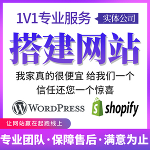 外贸独立站开发wp多语言shopify小程序企业商城网站装修二开定制