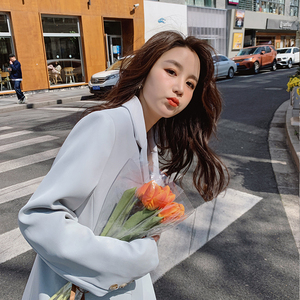 【现货】一粒扣小西装外套8871-p105-k158,女装西装,浙宝113