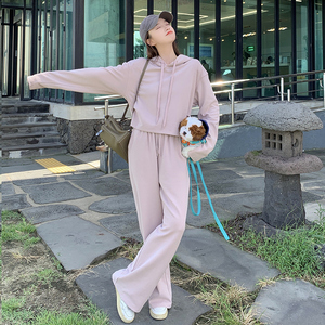 韩版盐系减龄连帽卫衣套装女2025春秋季新款宽松显瘦阔腿裤两件套图片