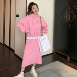 新款卫衣+裙子两件套套装2C281-688-P145-K218，女装套装/套裙，浙宝113