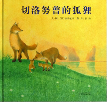 切洛努普的狐狸（精装）【日】高桥宏幸著绘,田秀娟　译 河北教育