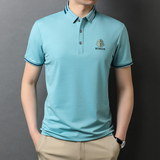 中青年男士休闲短袖T恤男上衣夏季新款时尚半袖POLO衫D7627-P65，男装T恤，电商B212（原钱塘6029）