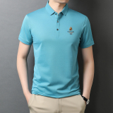 短袖T恤新款夏季青年时尚男纯色宽松翻领POLO衫男装QLM88155-P70，男装T恤，电商B212（原钱塘6029）