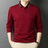 男士2021秋季新款长袖t恤中青年休闲polo衫翻领体恤QLM55138-P75，男装Polo衫，电商B212（原钱塘6029）