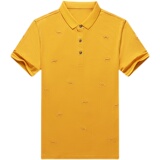 商务休闲翻领刺绣Polo衫男士中青年潮流百搭T恤夏AJY2133-P60，男装T恤，电商B212（原钱塘6029）