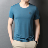 短袖t男恤秋季新款圆领百搭服潮牌潮流宽松体恤衫QLM88221-P70，男装T恤，电商B212（原钱塘6029）