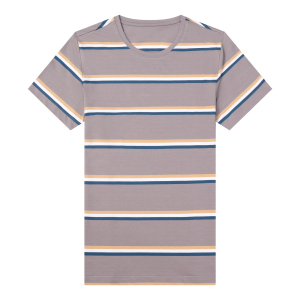 男士圆领体恤2021秋季新款条纹潮流打底上衣短袖T恤QLM88223-P70图片