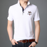 中青年男士棉质短袖T恤男翻领POLO衫夏季休闲纯色体恤衫D8290-P65，男装T恤，电商B212（原钱塘6029）