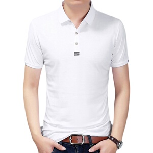 2021夏季新款百搭潮流男士商务休闲纯棉抗皱T恤翻领AJY202-P55图片