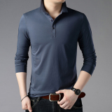 长袖衬衫t恤男2021新款纯色秋装上衣男士打底POLO衫男LJ1910-P80，男装T恤，电商B212（原钱塘6029）