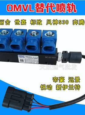 爱丽舍世嘉标致奔腾风神帝豪远景伊兰特悦动CNG燃气OMVL喷轨气嘴