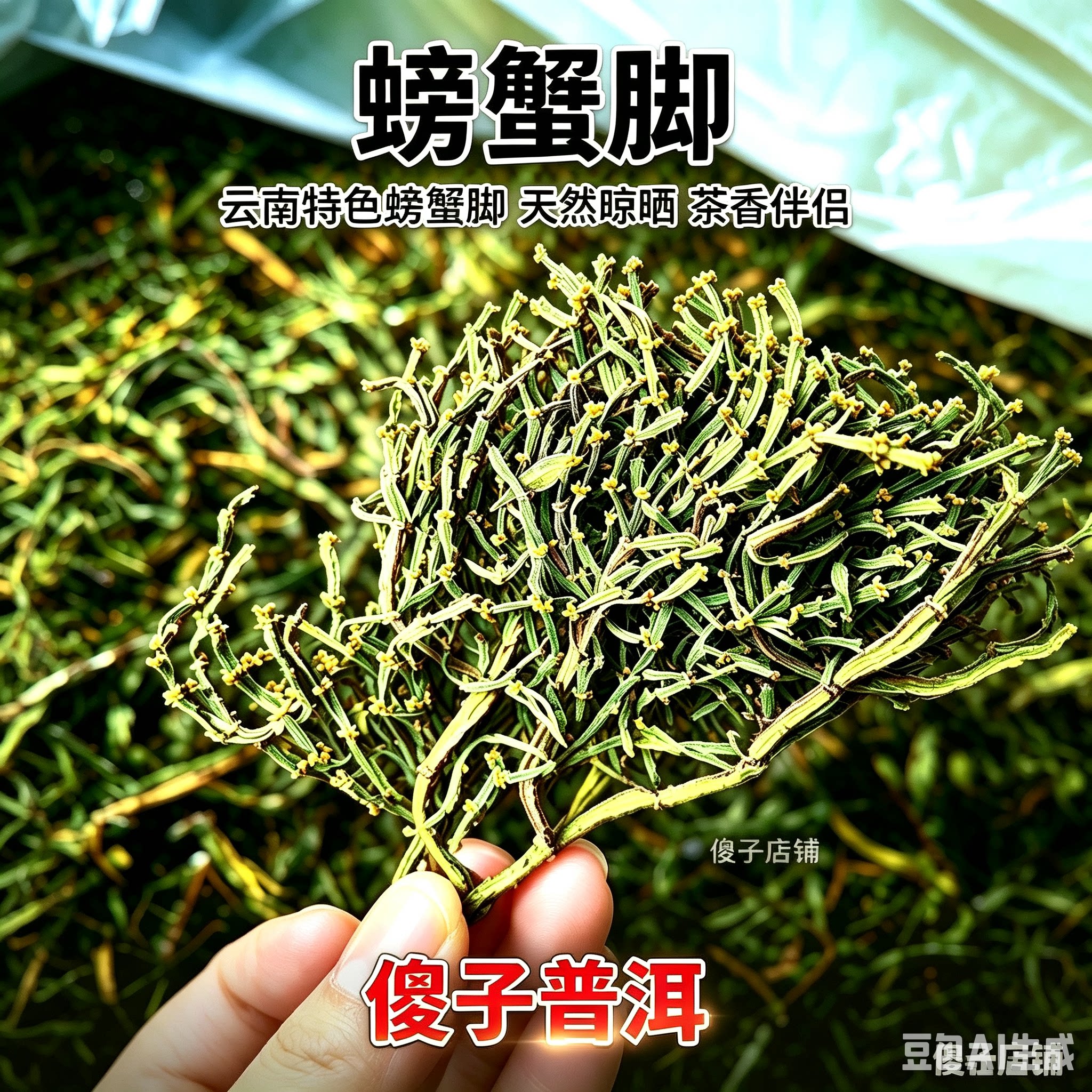 景迈野生古树螃蟹脚云南普洱香气普洱